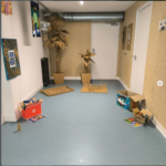 Capture d'écran 2026-01-12 161004